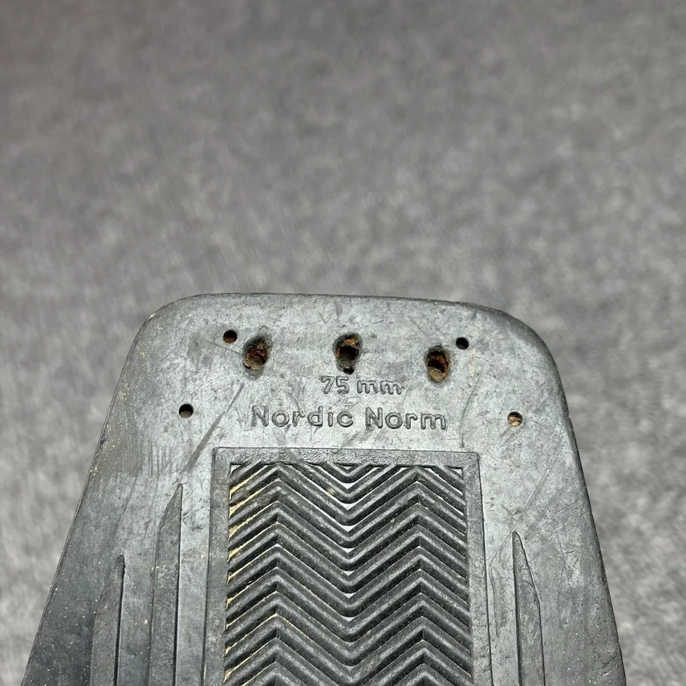 Alpina vintage nordic